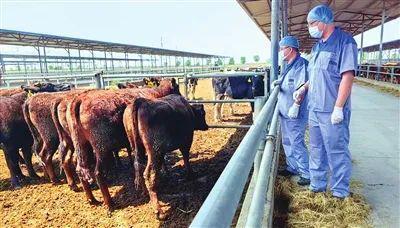 早读：印度61级地震7死4伤26人问责、飞机坠毁11岁男孩吸二手烟患癌爱奇艺副总裁道歉(图16)