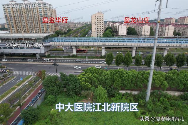 动了！官方回复！南京超级工程即将复工(图4)