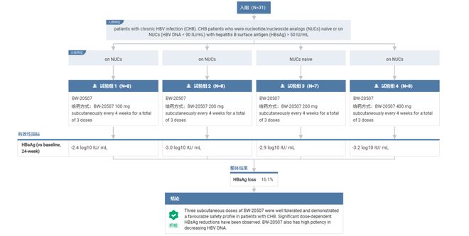 每 4 周一次国产慢性乙肝 siRNA 疗法拟纳入突破性治疗(图2)