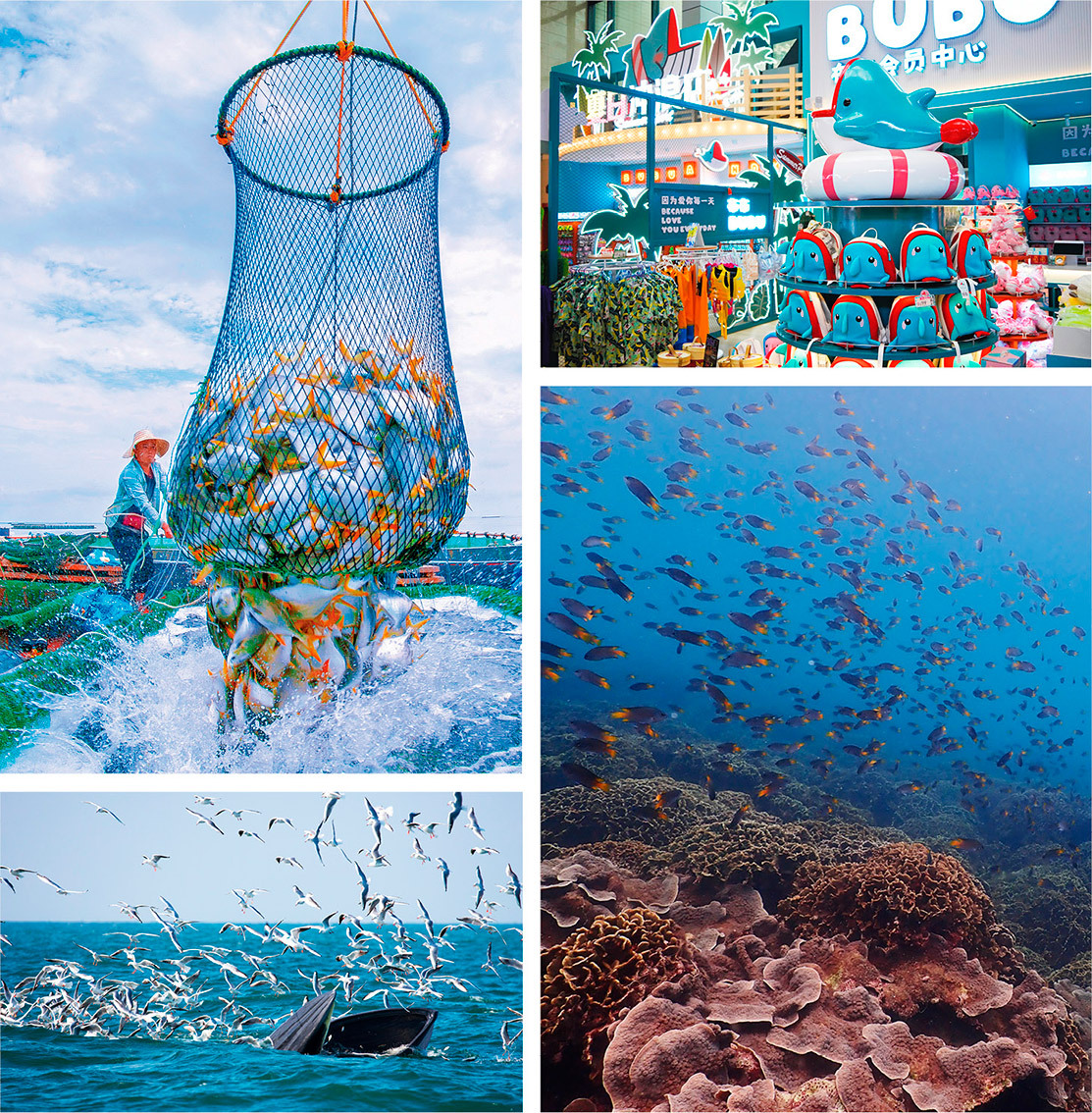 广西北海 乘风向海立潮头(图1)