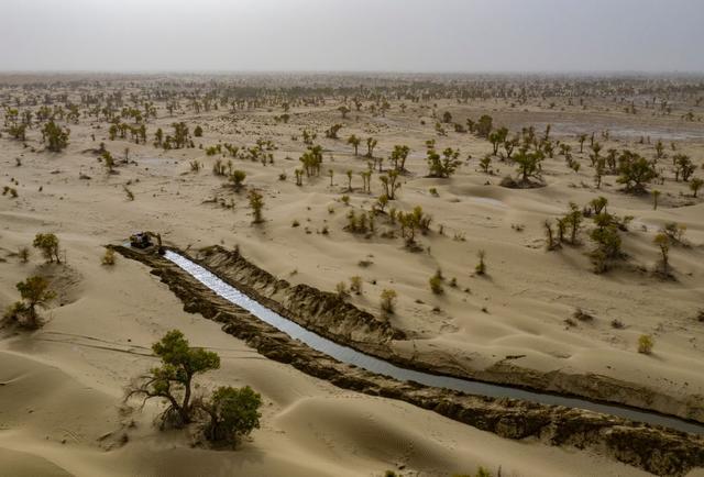 潮涌新疆70年 沙海新绿：生态输水造沙漠“绿色长廊”(图6)