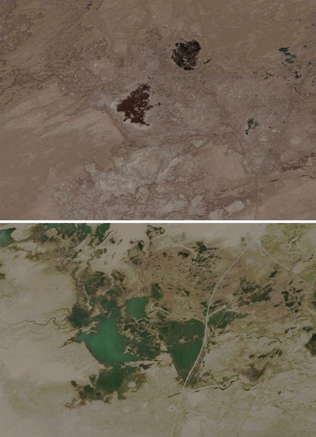 潮涌新疆70年 沙海新绿：生态输水造沙漠“绿色长廊”(图2)