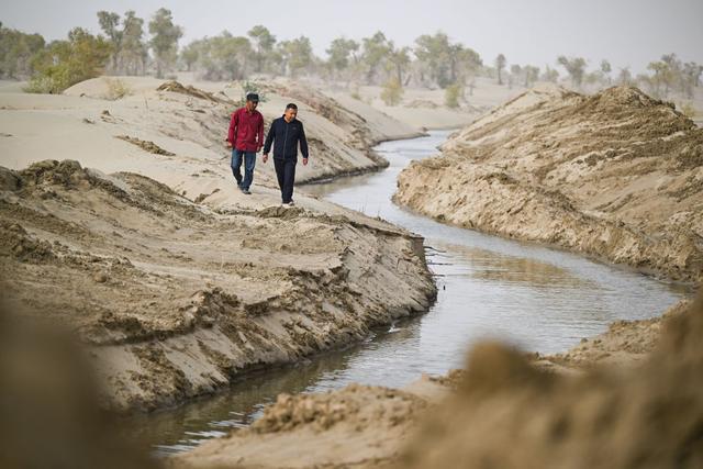 潮涌新疆70年 沙海新绿：生态输水造沙漠“绿色长廊”(图4)