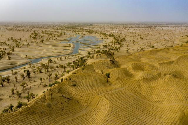 潮涌新疆70年 沙海新绿：生态输水造沙漠“绿色长廊”(图19)