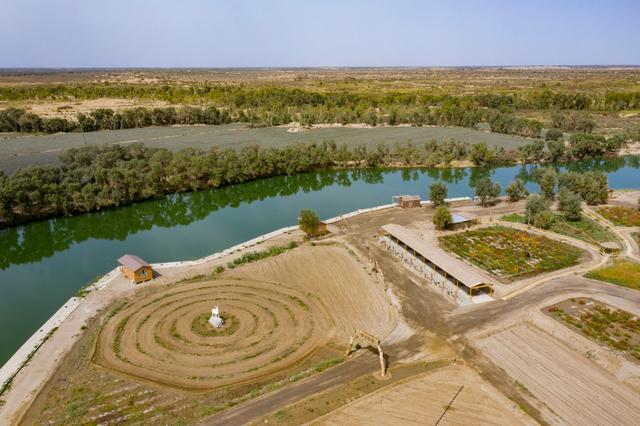 潮涌新疆70年 沙海新绿：生态输水造沙漠“绿色长廊”(图21)