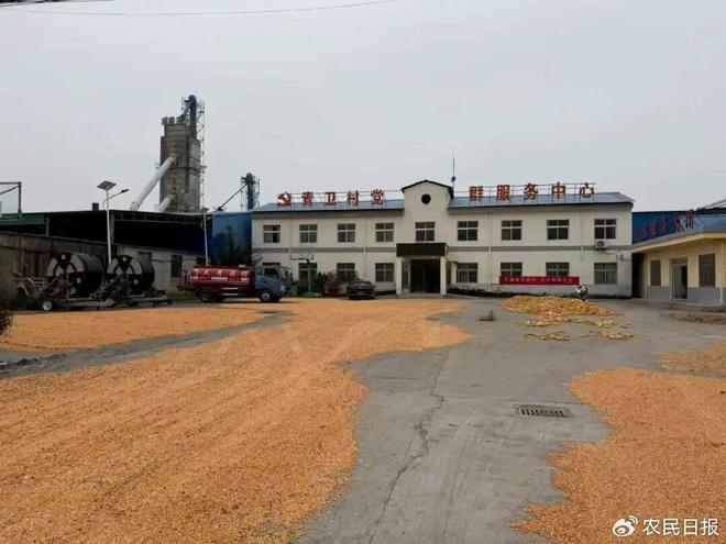 天公不作美？种粮人主动出击(图1)