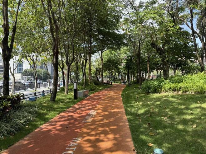 实探！白云一天爆两块地背后是同一盘大棋(图4)