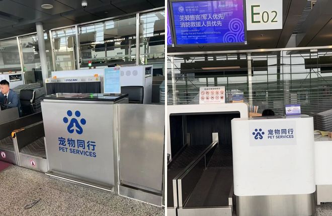 从客舱到酒店、景区“人宠服务”如何扎根中国旅游市场？(图1)