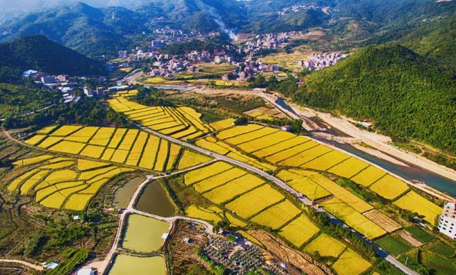 【头条】阀门兴镇铸底 气城乡焕新提品质——专访英都镇党委副书记、镇长黄宗权(图5)