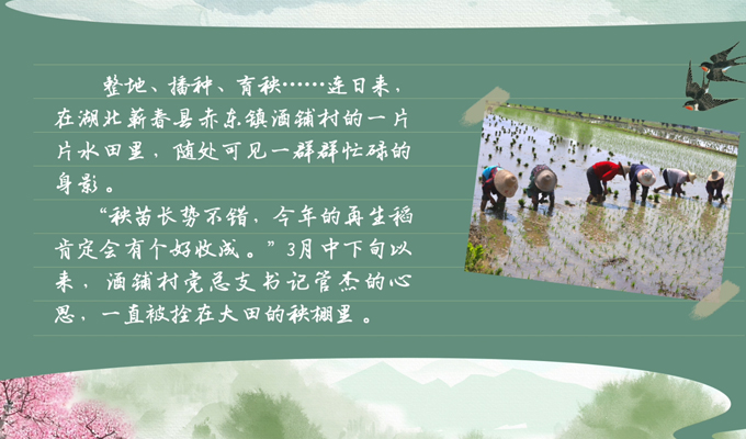 春耕时节 我们在行动_光明网(图1)