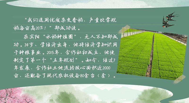 春耕时节 我们在行动_光明网(图12)