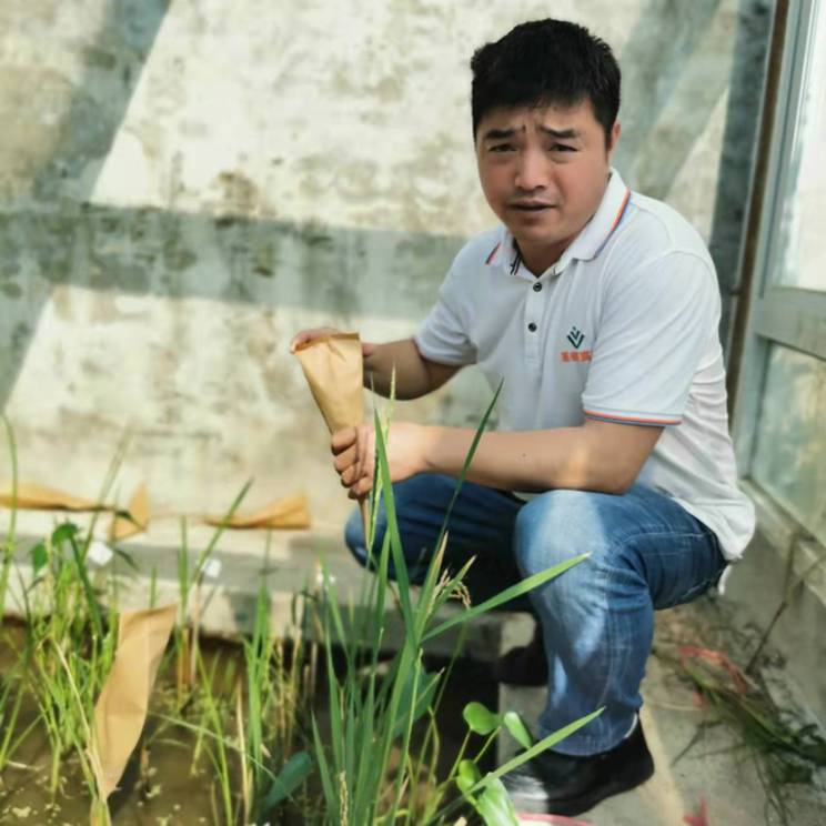 春耕时节 我们在行动_光明网(图22)