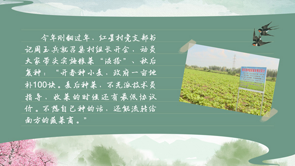 春耕时节 我们在行动_光明网(图27)