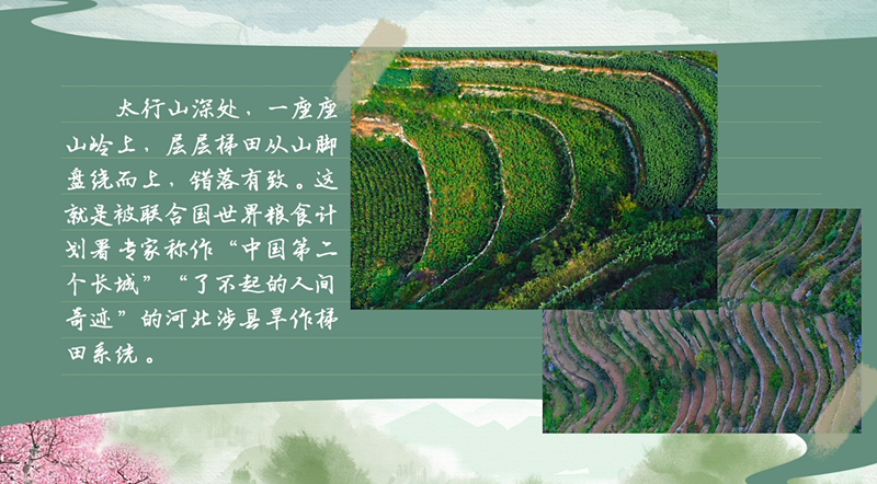 春耕时节 我们在行动_光明网(图35)