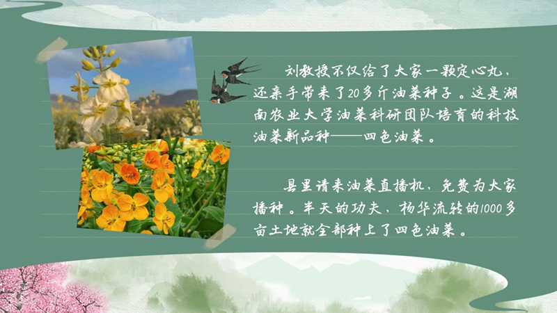 春耕时节 我们在行动_光明网(图42)