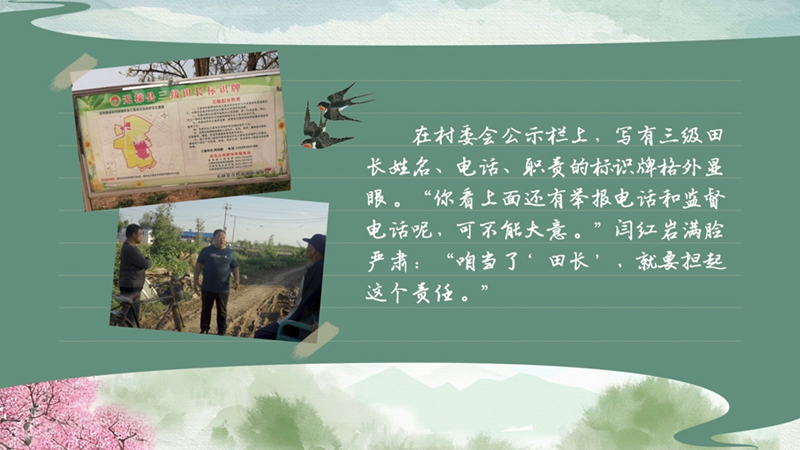 春耕时节 我们在行动_光明网(图45)