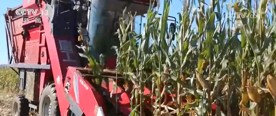 产业新观察·创新技术激活循环经济万亿级大市场 绿色消费呈现新亮点(图17)