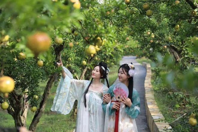 10月这些央媒、省媒聚焦淮北！(图20)