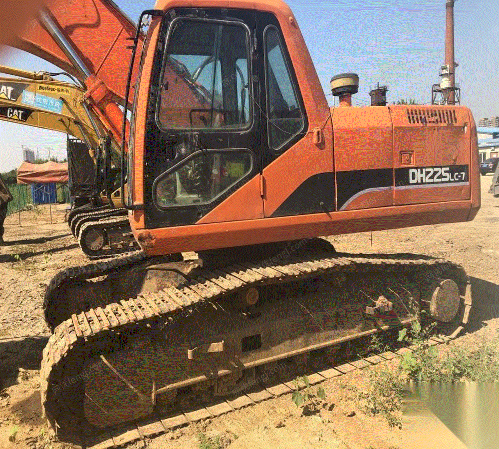 黄幻吾精品花鸟构图大胆用色清新(图1)