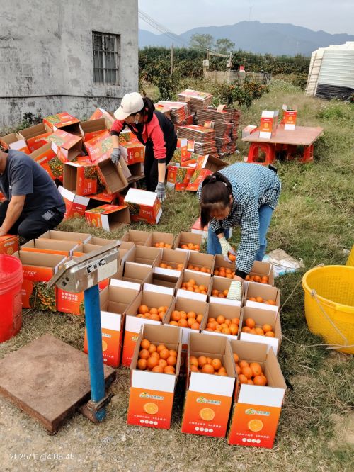 博发集团助农在行动开启乡村幸福之门(图1)