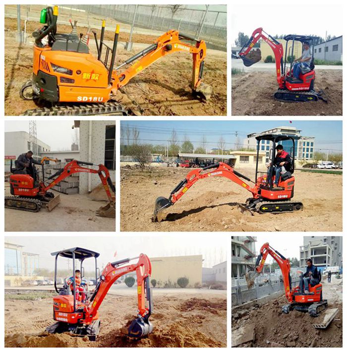 上市猪企1月销售数据出炉！AI养猪时代来了？(图1)