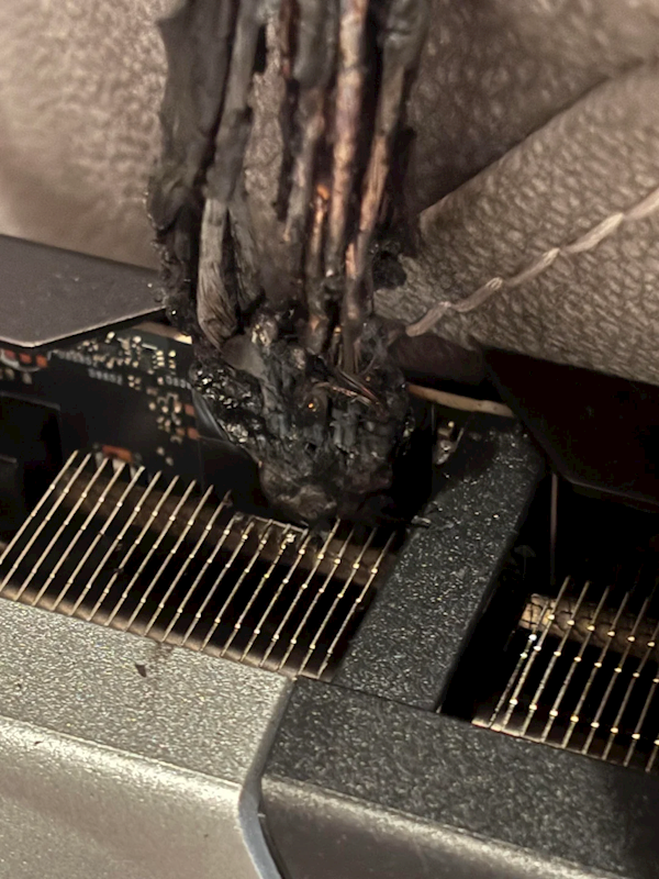 2025年12月28日B(图45)